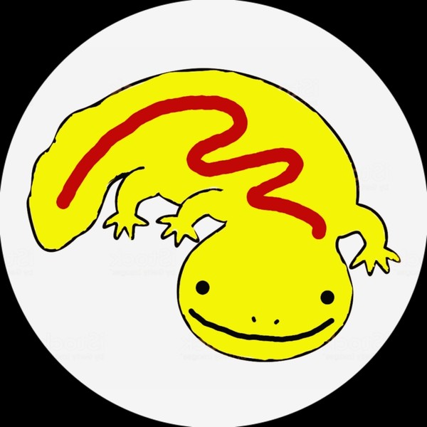 オムライスサンショウウオ