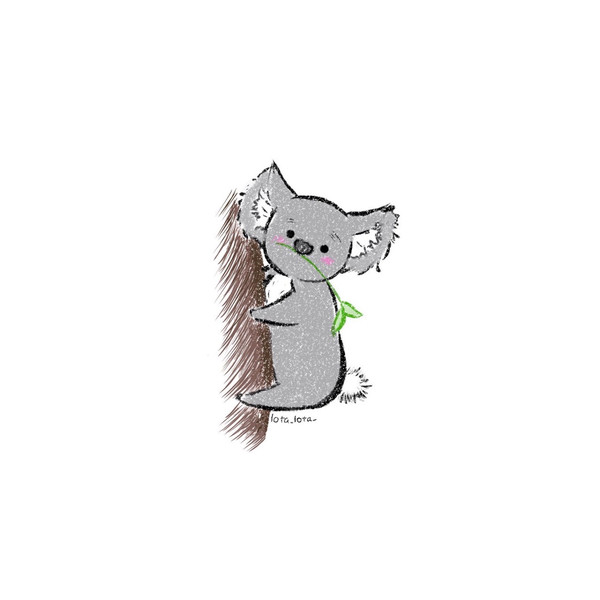コアラ