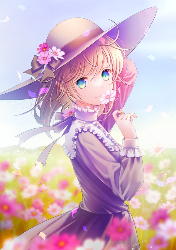 秋桜