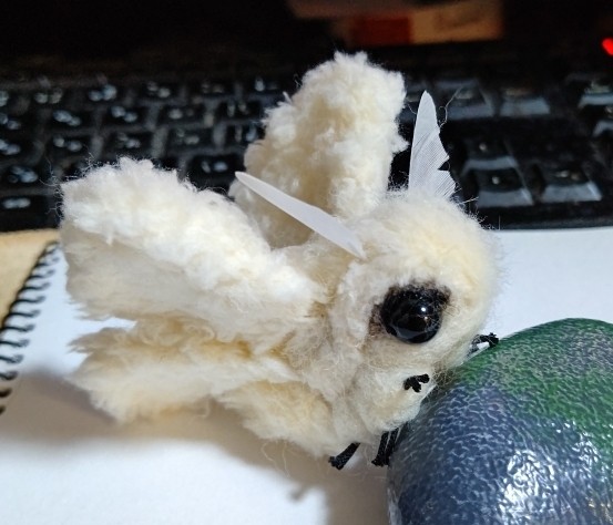 羊毛フェルトでブランカを作る