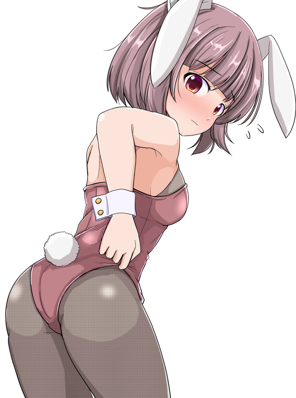 バニーきりたん