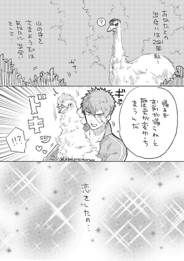 エミュー×同田貫正国