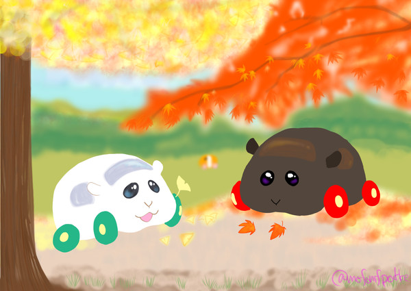 シロモとテディのもみじがり