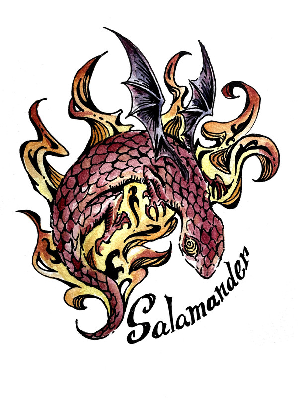 Salamander