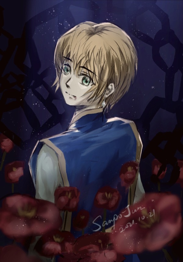 Poppy flowers on the soul