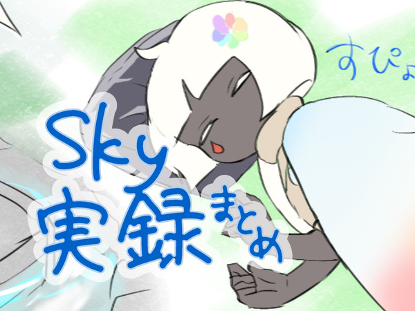 Sky実録　まとめ