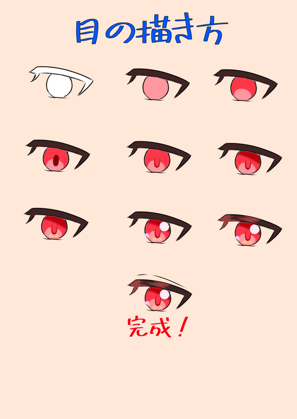 目の描き方