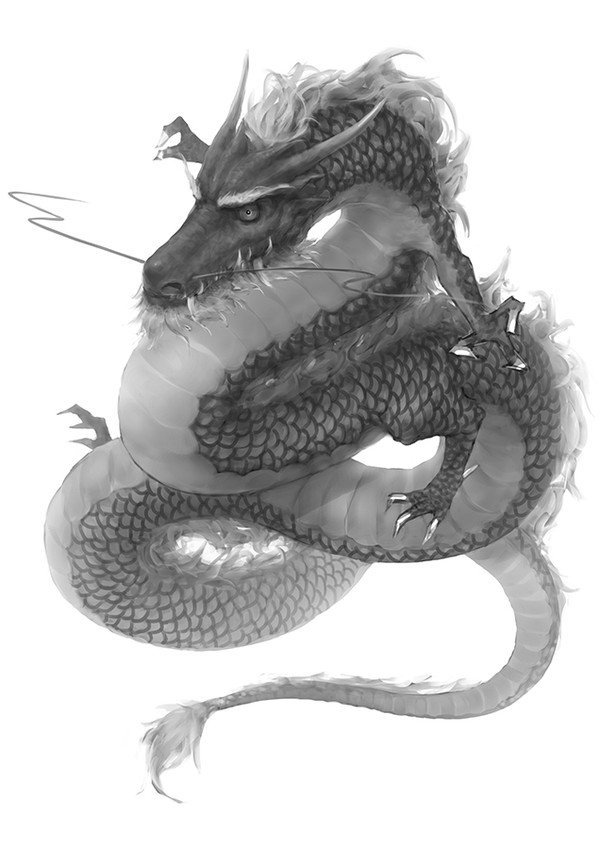 龍
