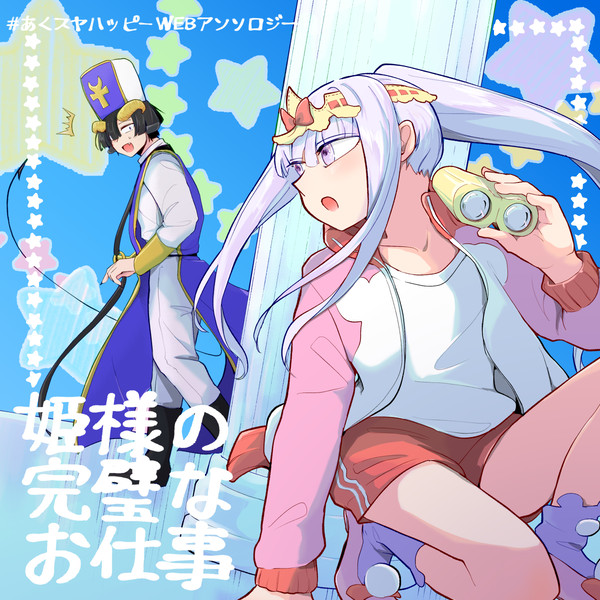 姫様の完璧なお仕事