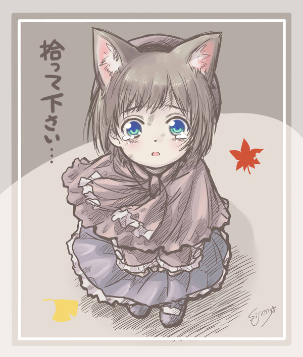 捨て猫