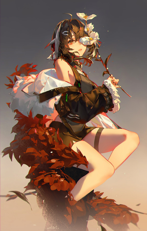 羽毛笔(๑•̀ㅂ•́)و✧