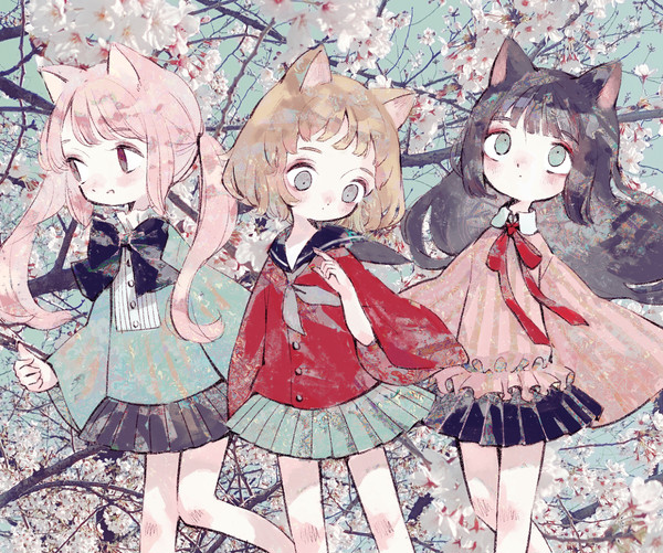 Cherry blossom