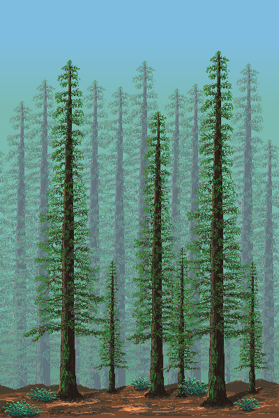 Cold Forest background