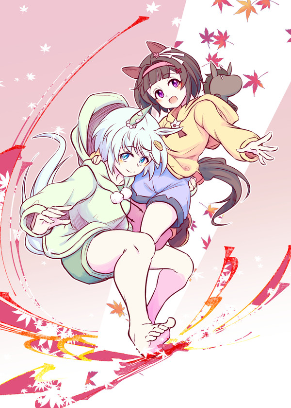 空花雛菊。