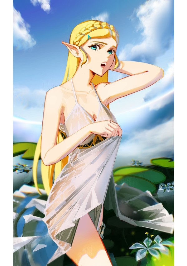 Princess Zelda~