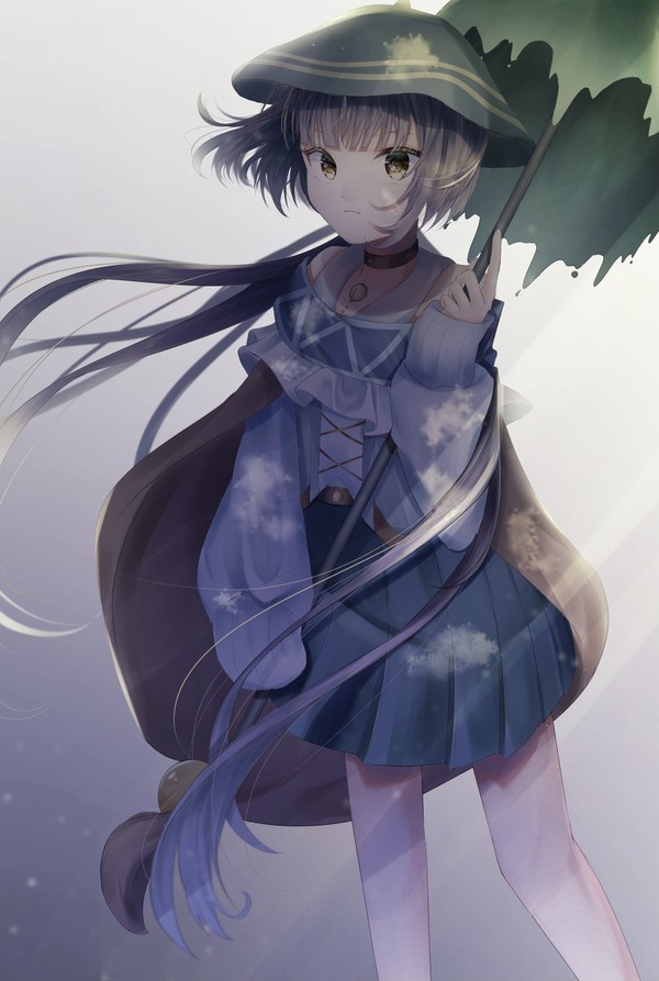 ソライロタケ