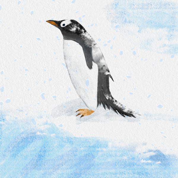 ジェンツーペンギンさん