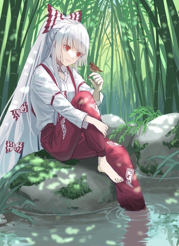 安らぎの時間