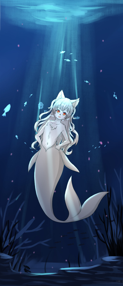 美狗鱼