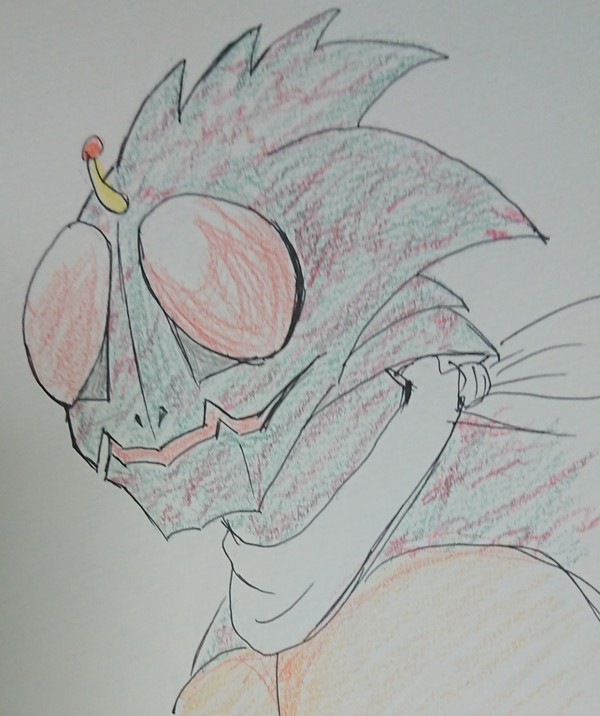 仮面ライダーアマゾン