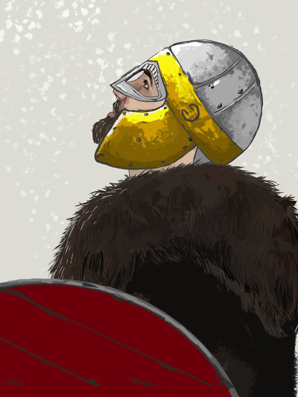 Some Viking