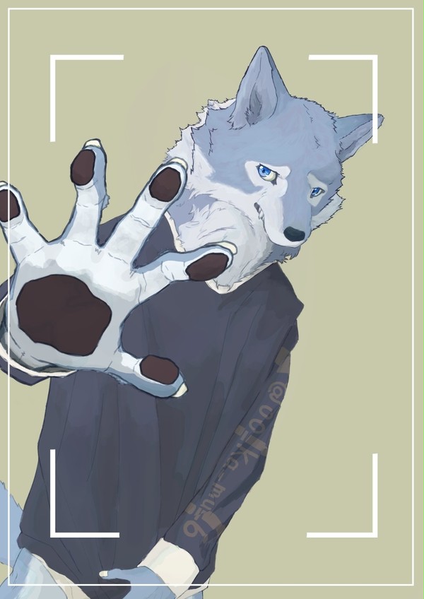 カメラを向けたら嫌がられた………｡