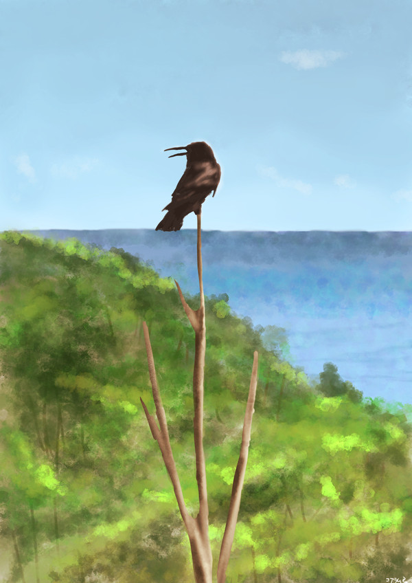 カラスと海