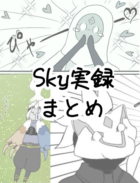Sky実録まとめ