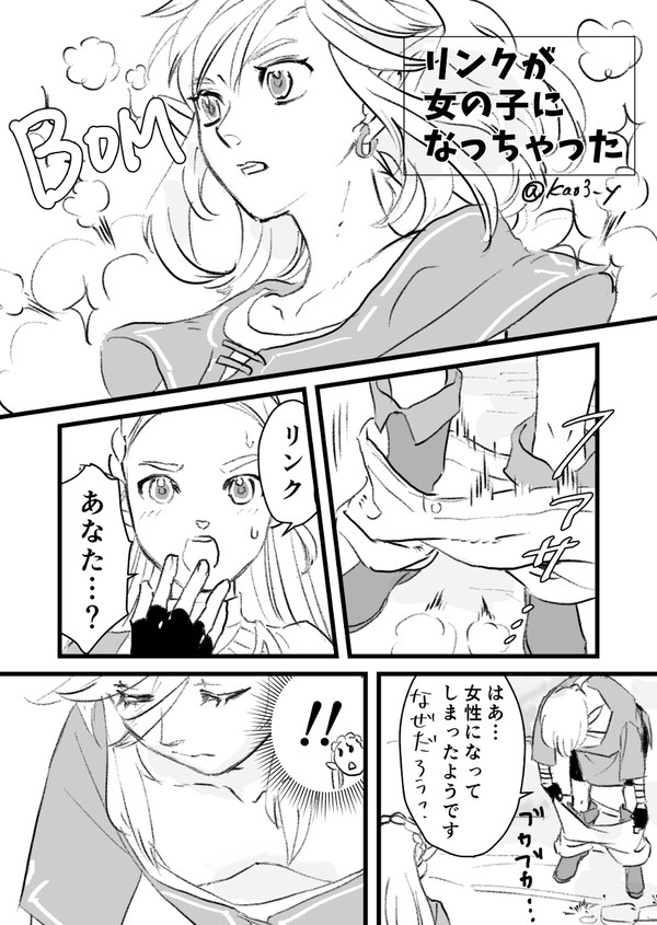 リンクが女の子になっちゃった