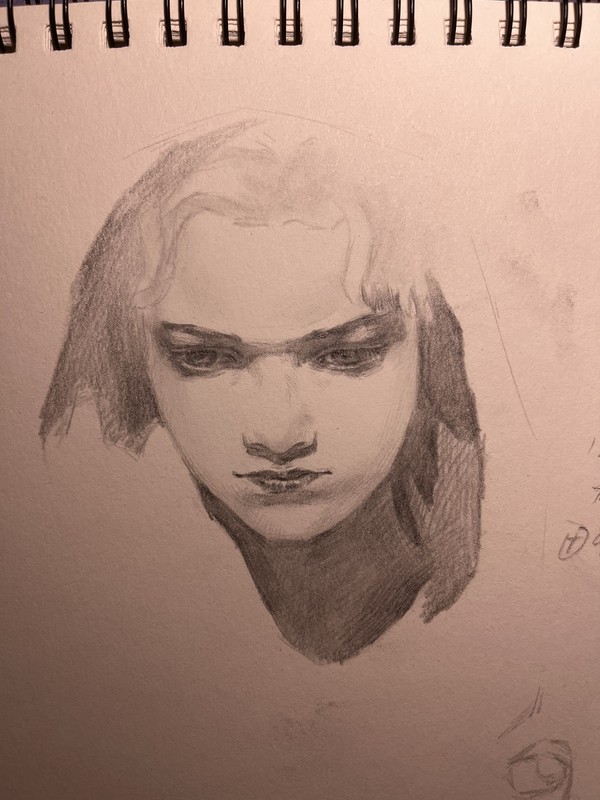 摸