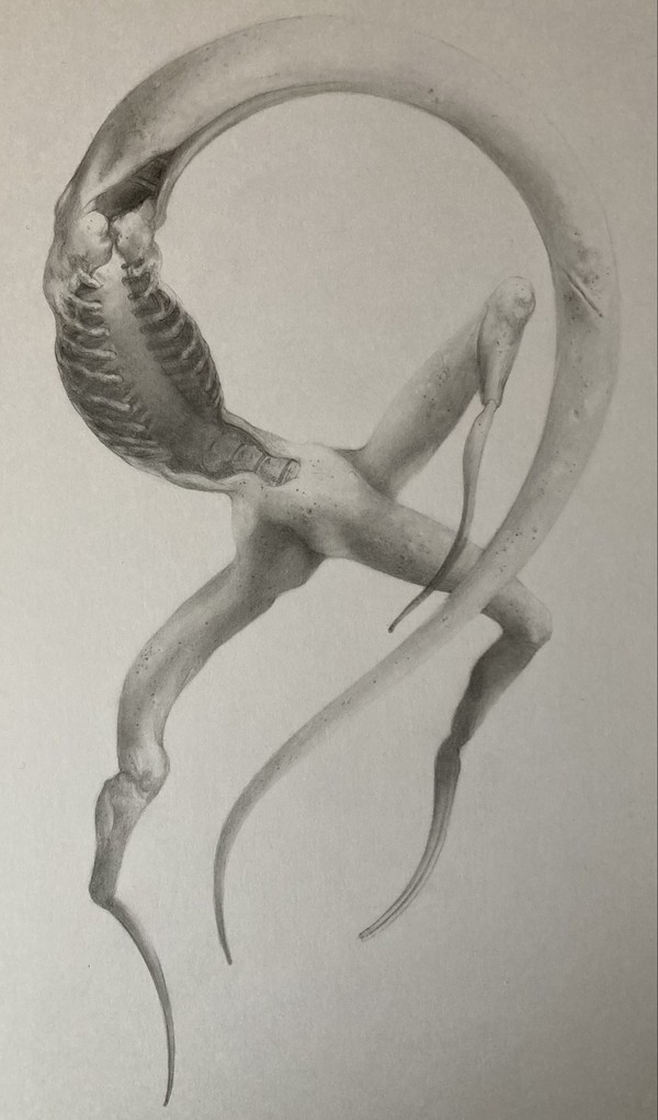 Nyarlathotep:The Bloody Tongue