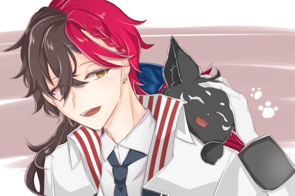 あくねこインスト記念