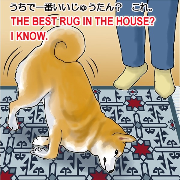 柴犬サクラ(10)  じゅうたん