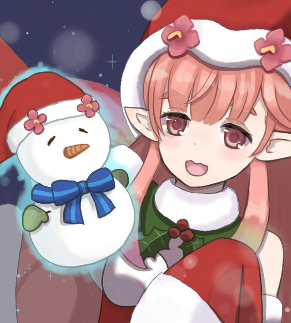 クリスマスルピナス