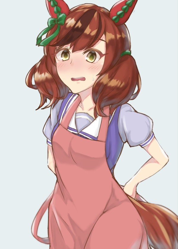 ナイスネイチャーハン