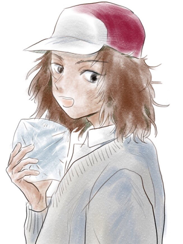 甲斐君