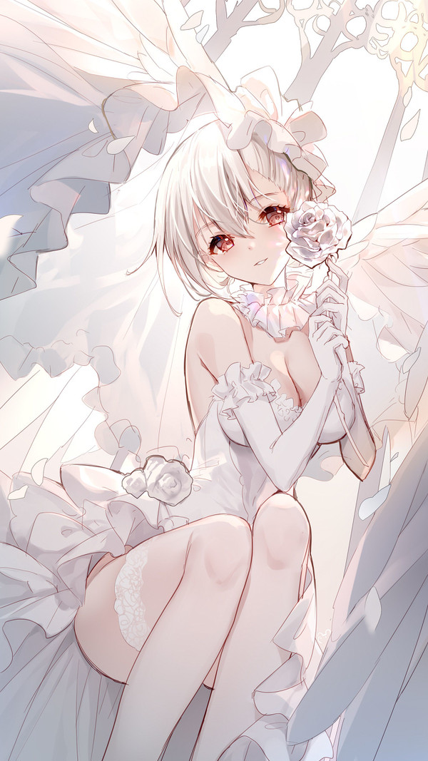 🌸 - 1/1