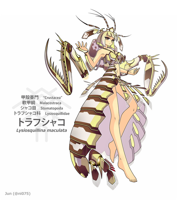 【トラフシャコ】