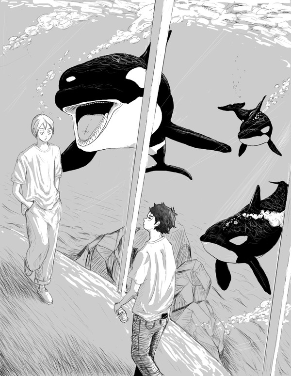 シャチにひっぱられすぎじゃないですか？