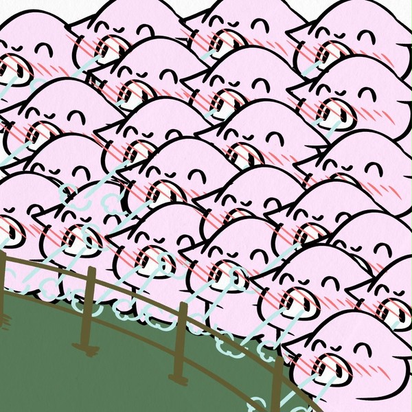 まいにちﾈｺﾁｬﾝ2021年下半期