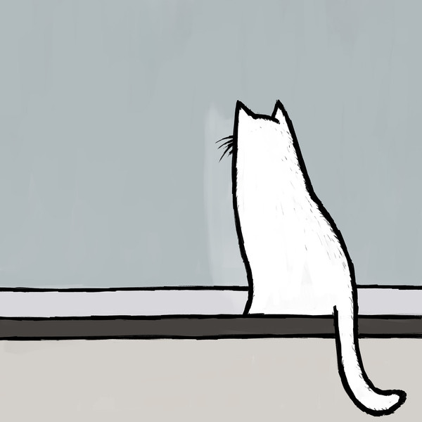 ネコの日課