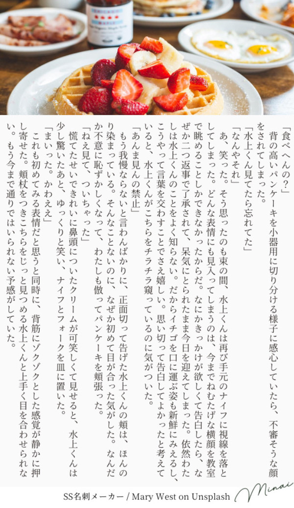 掌編