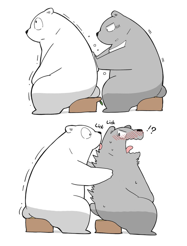 ごま🐻&とうふ🐻‍❄️