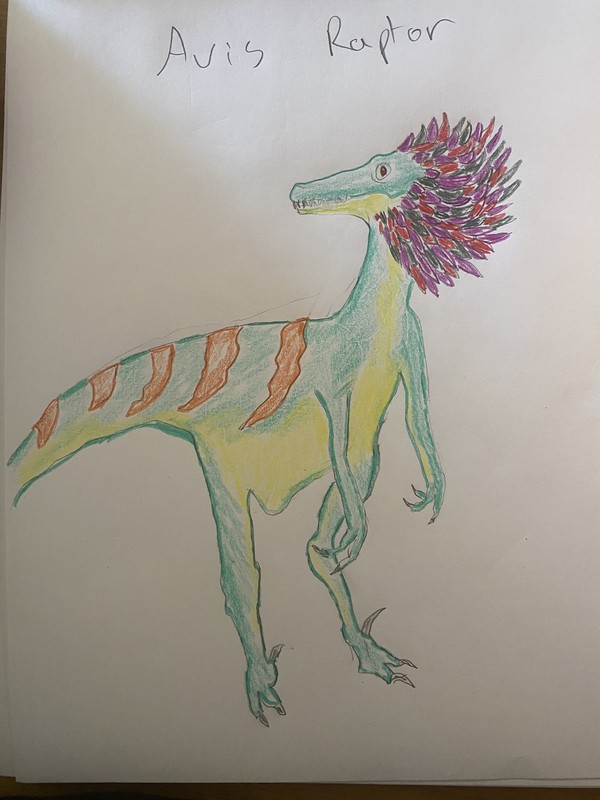 Avis Raptor