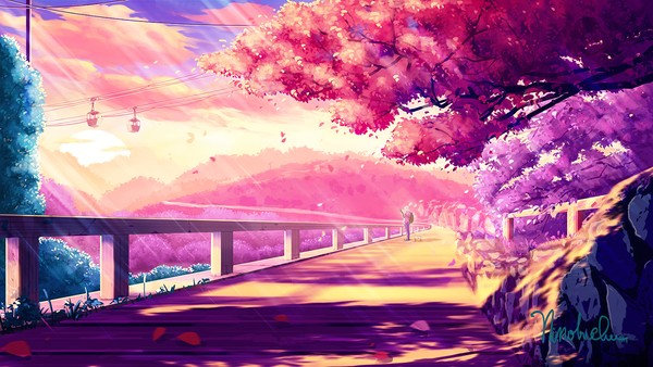 鮮やかな夕焼け…!