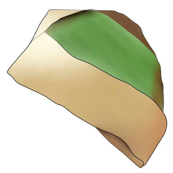 Nasi Bungkus