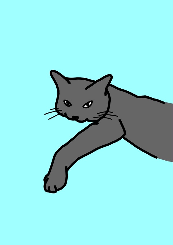 ごろんねこ