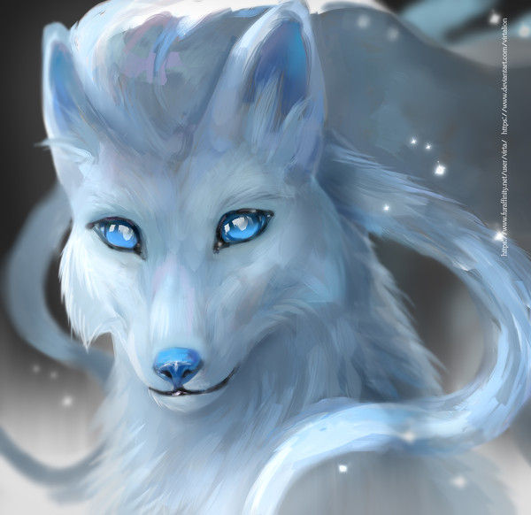 [C] キュウコン