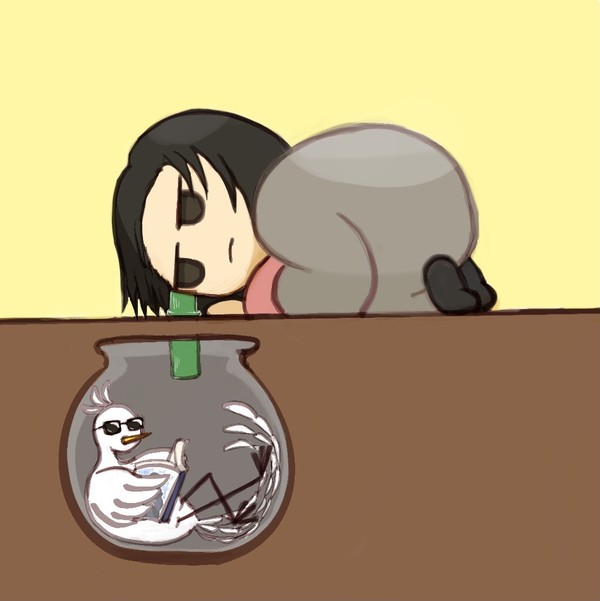 今日の白雉は
