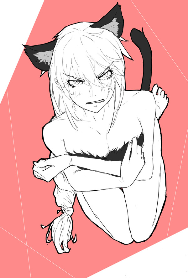 猫レイ